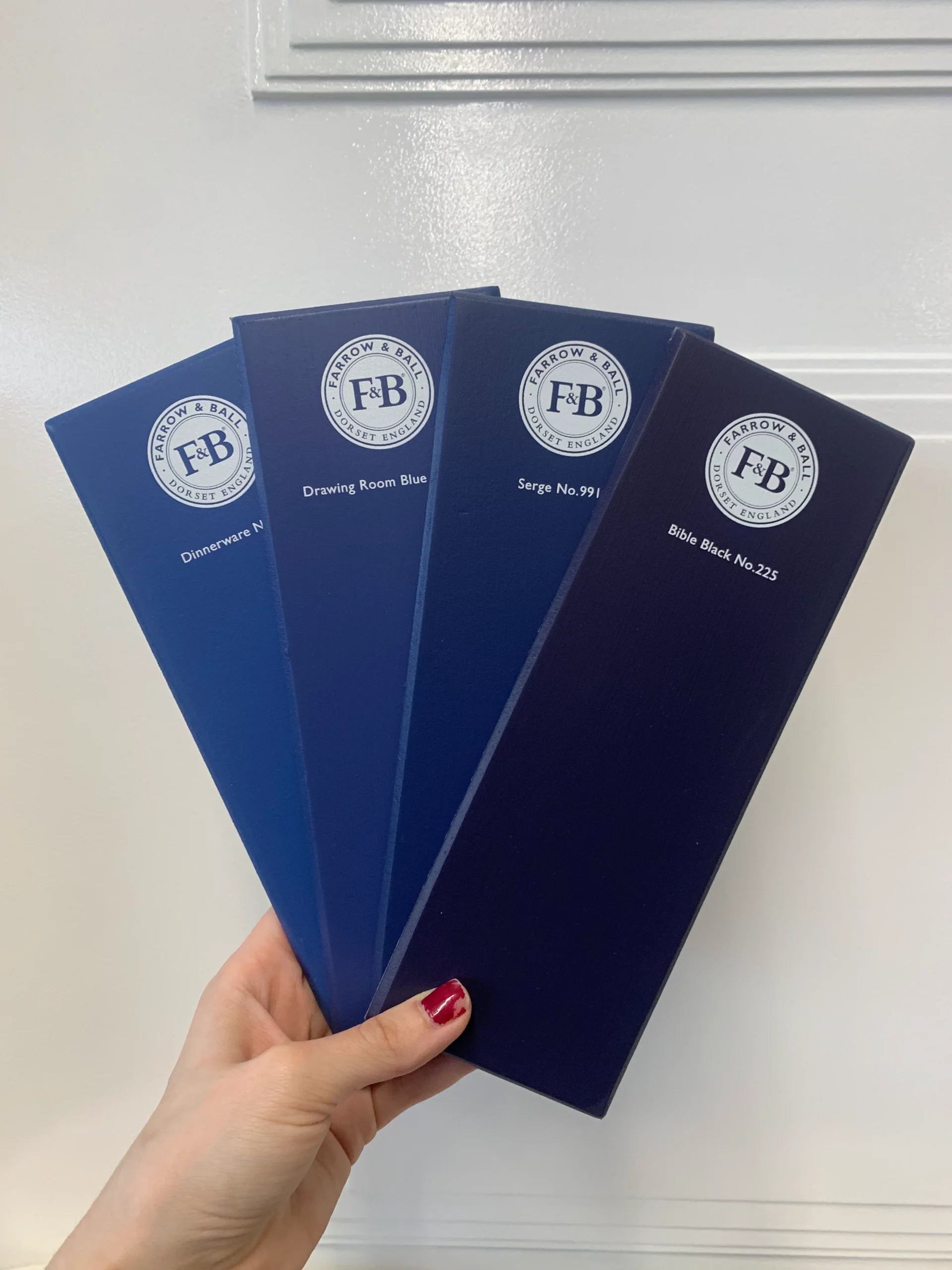 MANOIRPLUME_peintures_farrow_and_ball