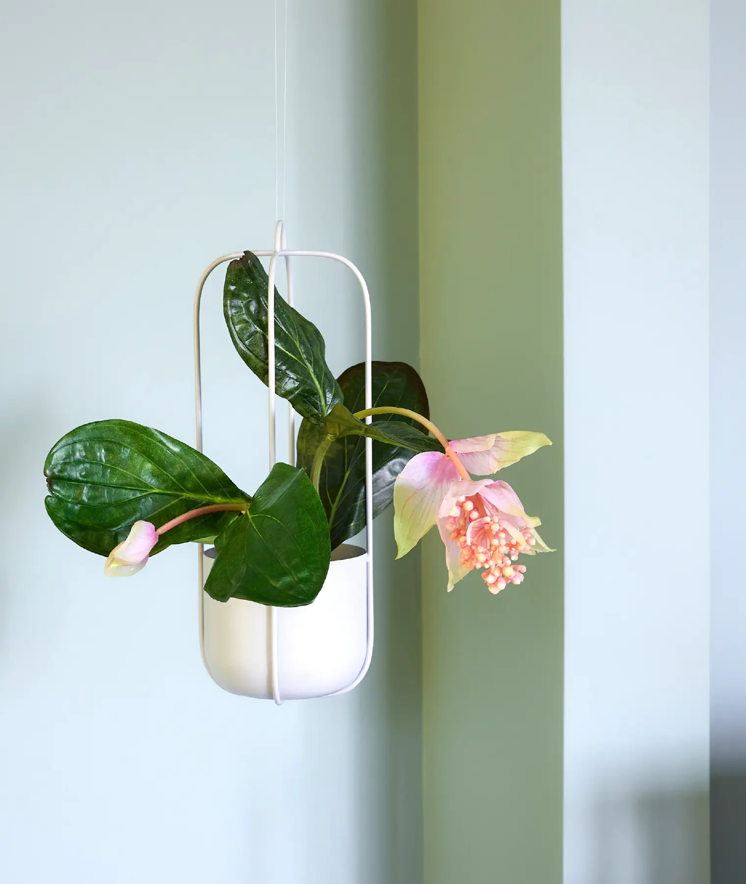 Set de 2 cache-pots à suspendre Lotus - gris clair - Hübsch | Manoir Plume