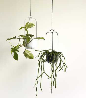 MANOIRPLUME_decoration