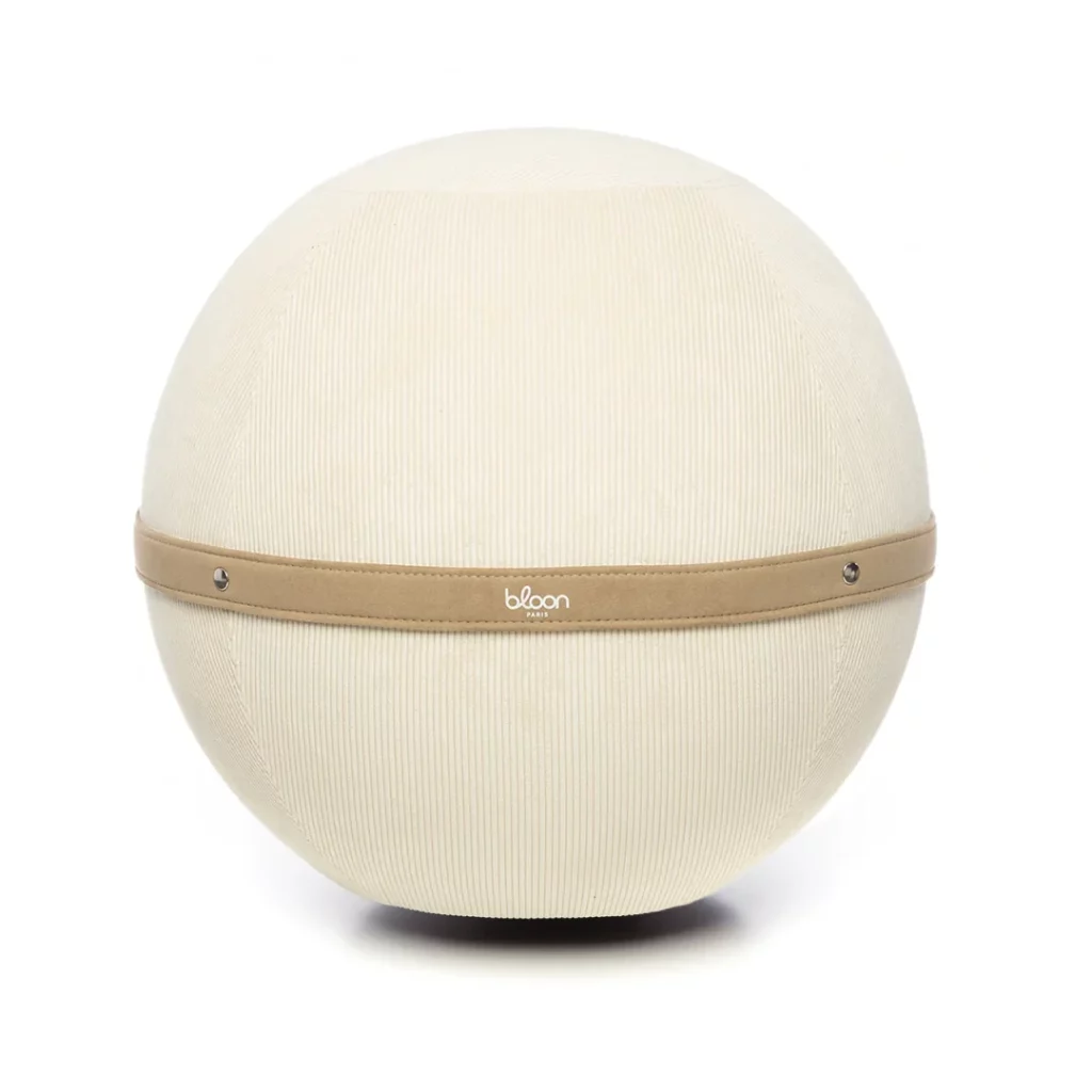 MANOIRPLUME_ballon_siege_bloon_paris_cotele_jasmin