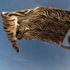Serviette de plage en coton bio - zèbre - Atelier Dune | Manoir Plume